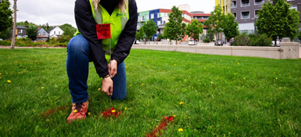 Services & Projects